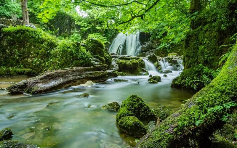 智能高性能